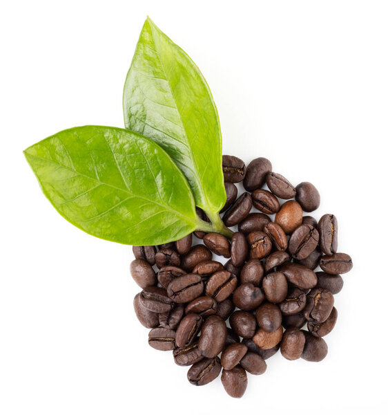 coffee beans with green leaves isolated on a white background, top view. an invigorating morning drink