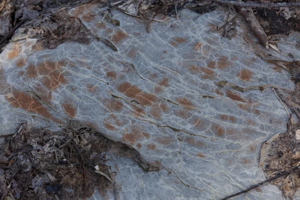 Texture Natural Red Stone — Stock Photo, Image