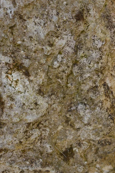 Textura Piedra Roja Natural — Foto de Stock