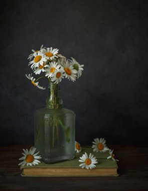 Papatyalar, kitaplar, karanlık bir arka planda sürahisi