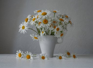 Beyaz arka planda bir bardakta papatyalar