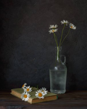 Koyu arkaplanda bir sürahide papatyalar