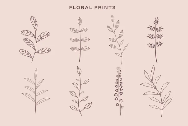 Набор Цветочных Элементов Гравюр — стоковый вектор