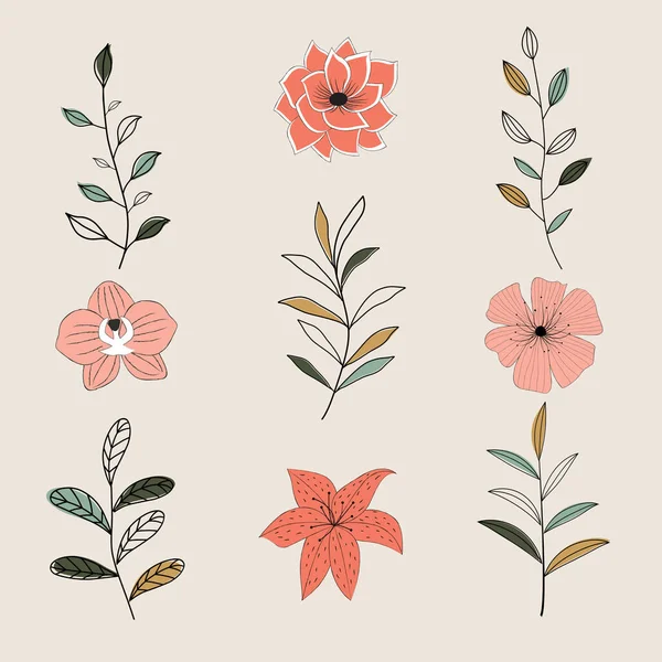 Conjunto Flores Elementos Florales — Archivo Imágenes Vectoriales