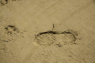 Kumda farklı ayak izleri var.