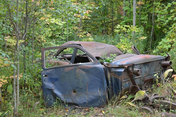 Viejo Coche Oxidado Bosque — Foto de Stock