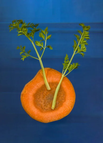 Scheiben Geschnittene Orangenkarotte Und Grüne Karottenblätter Isoliert Auf Blau — Stockfoto