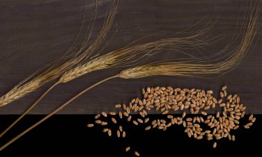 Arpa dikenleri koyu bir arka planda. Üst görünüm. 