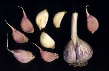 Sarımsak başları siyah arkaplana dağılmış.