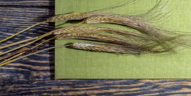 Yeşil arka planda arpa dikenleri. Üst görünüm. 