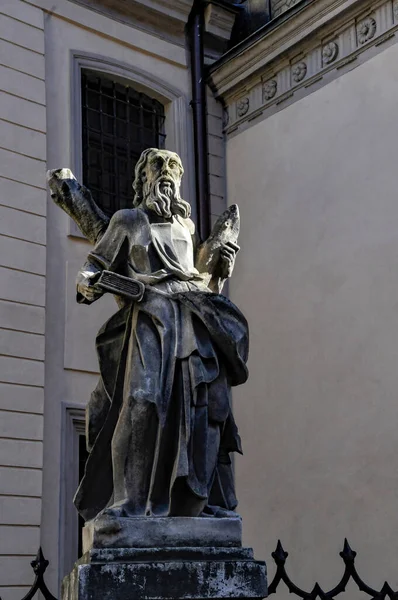 Statue Latin Cathedral Lviv Ukraine — Stock Photo, Image