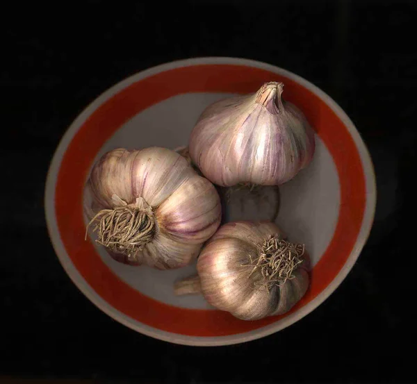 Fresh Garlic Isolated Old Ceramic Plate Closeup — Stock Photo, Image