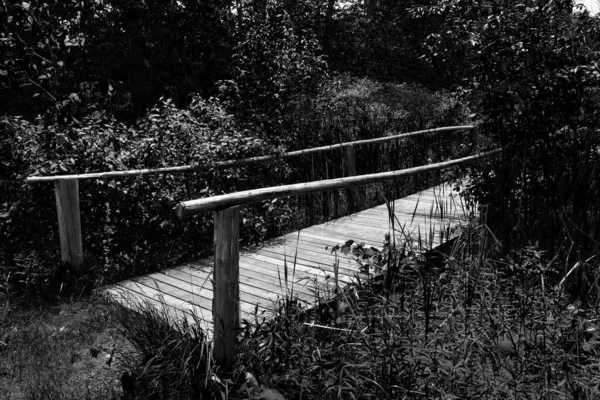Старый Деревянный Мост Через Ручей Лесу — стоковое фото