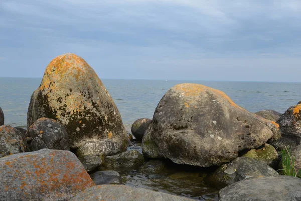 Shore Lake Texture Stone Overgrown Moss — Stock Photo, Image