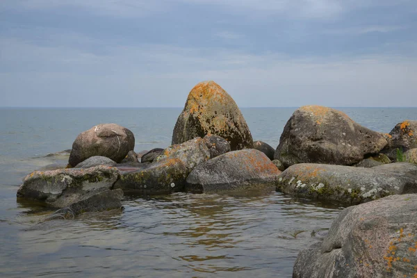 Margem Lago Textura Pedra Coberta Musgo — Fotografia de Stock