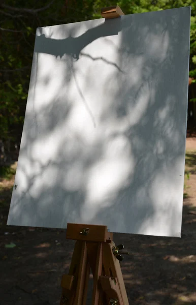 Schatten Von Bäumen Auf Einer Sauber Grundierten Leinwand Vor Dem — Stockfoto