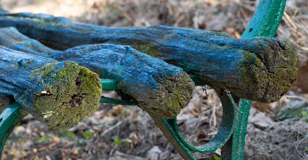 Banco Del Parque Madera Pintado Crecido Con Musgo — Foto de Stock