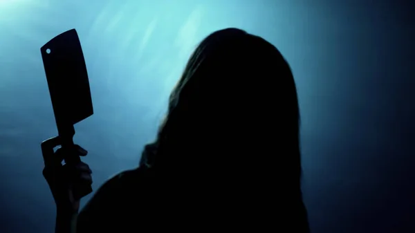 Scary Silhouette Female Murderer Butcher Knife Looking Camera — Stock Photo, Image