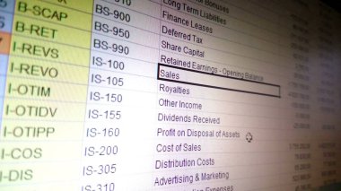Muhasebe veri işleme, excel hesap tablosu, finans raporu satış yönetimi
