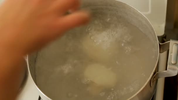 Dame legt Chinkali in kochendes Wasser, bereitet Abendessen für Freunde und Familie vor — Stockvideo