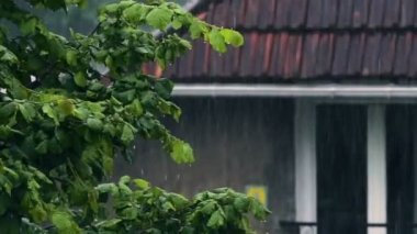 Yağışlı hava, Bahçe Doğa, sonbahar nostalji evin önünde yeşil ağaç