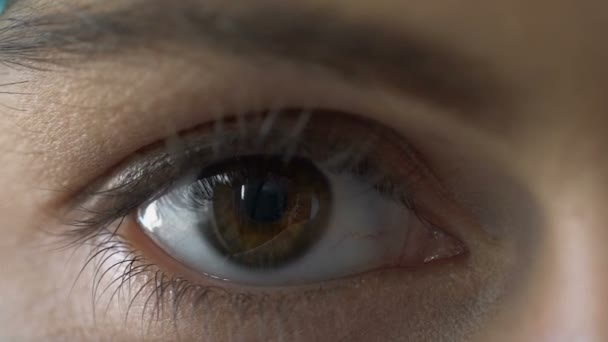 Женский глаз крупным планом смотрит на камеру, здравоохранение, проблемы со зрением, красота — стоковое видео