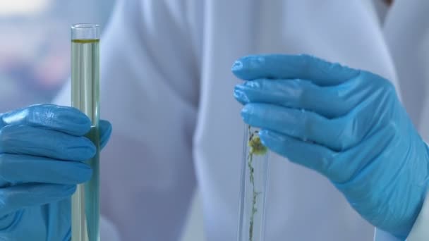 Сотрудник косметологической лаборатории добавляет стерильную жидкость в экстракт цветка — стоковое видео