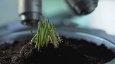 Yeni yöntemle yetiştirilen mikroskop mikroplar yoluyla eğitim bilimsel tarım uzmanı yetiştirme