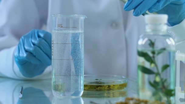 Химик, занимающийся смешиванием экстрактов стволовых клеток растений для антивозрастных кремов — стоковое видео