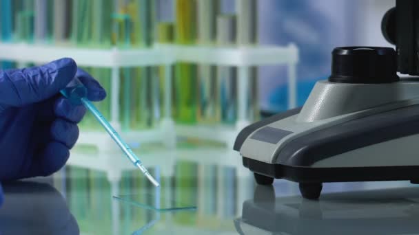 Cientista cai reagente para deslizar vidro com pipeta para examinar sob microscópio — Vídeo de Stock
