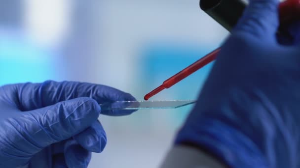 Εργαστήριο Βοηθός πιπέτα σταγόνα αίματος στη διαφάνεια, γενετική έρευνα εργαστήριο — Αρχείο Βίντεο
