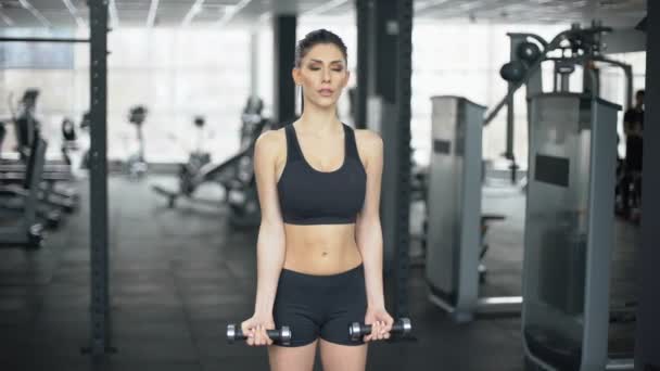 Slim donna sollevamento manubri in palestra, allenamento dei muscoli del braccio, stile di vita sportivo — Video Stock