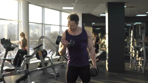 Manliga kroppsbyggare lyft vikt, gör hantel curls, morgon träning i gym — Stockvideo