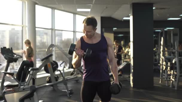 Bodybuilder masculin soulevant le poids, faisant des boucles d'haltère, séance d'entraînement matinale dans la salle de gym — Video