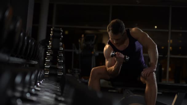 Deportista persistente haciendo dumbbell concentración rizo, entrenamiento nocturno en el gimnasio — Vídeos de Stock