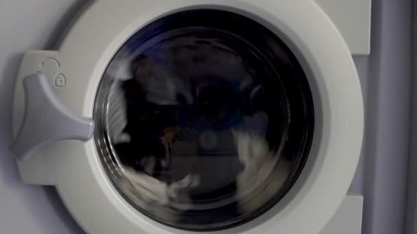 Machine à laver nettoyage des vêtements, journée blanchisserie à la maison, électroménager — Video