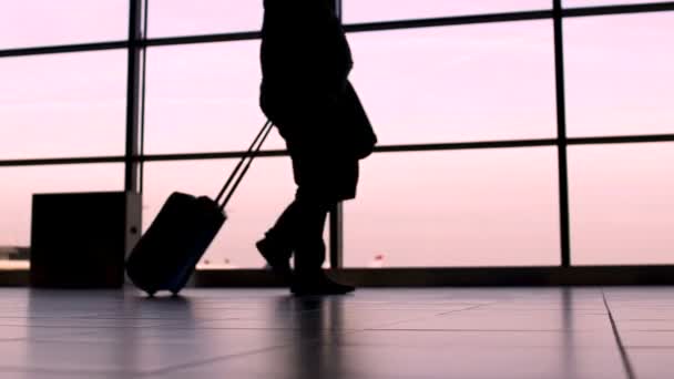 Gente de negocios caminando en el aeropuerto, la delegación llegó para la reunión anual — Vídeo de stock