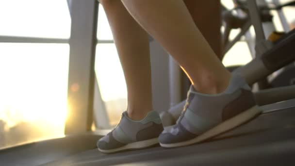 Γυναικεία πόδια τρέξιμο σε διάδρομο μηχανή στο φως του ήλιου γυμναστήριο, συγκροτημένη γυναίκα, στόχος — Αρχείο Βίντεο