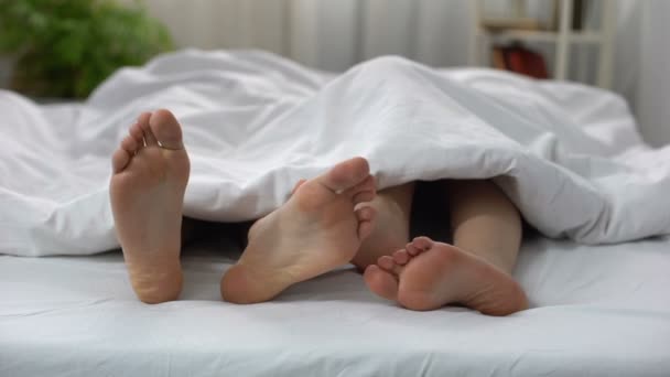 Ноги молодоженов соединяются, пара влюблена под одеялом, интимность — стоковое видео