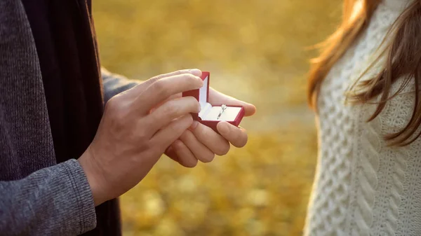 Mann Macht Freundin Herbstwald Heiratsantrag Romantische Atmosphäre — Stockfoto