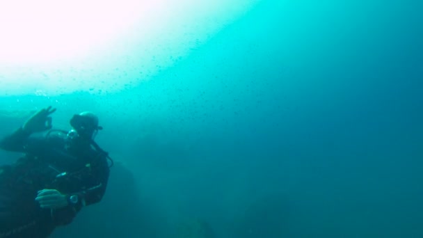 Rekreations dykare simmar under vattnet, vinkande partner med ok gest — Stockvideo