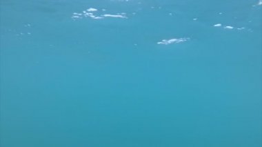 Kişi altında su yüzey aktif dinlenme yaz tatili sırasında Resort yüzme