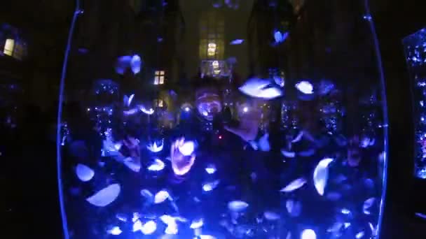 Человек за стеклянной коробкой с плавающими перьями в мерцающем свете тянет гримасы — стоковое видео