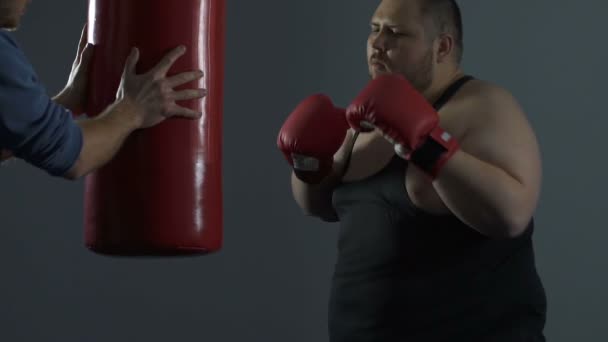 Hombre gordo golpeando fuertemente saco de boxeo, derramando su ira y todo resentimiento — Vídeos de Stock
