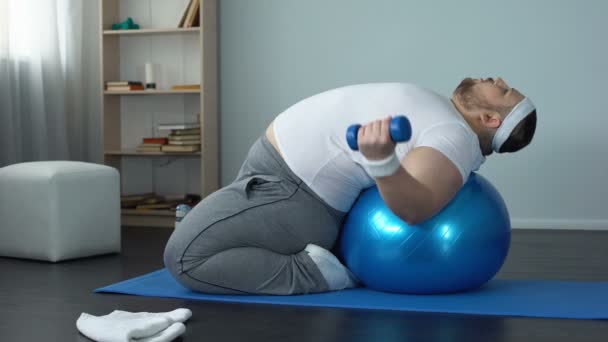 Fitness topu, kasları pompa yalan halter kaldırma amaçlı kilolu erkek — Stok video