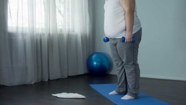 Solteiro gordo fazendo agachamentos com halteres, exercitando em casa, queimando calorias — Vídeo de Stock