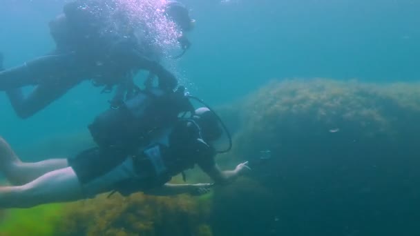 Buceo turístico masculino con cámara en palo, entrenador sujetándolo por detrás bajo el agua — Vídeo de stock