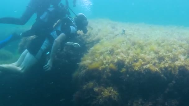 Мужчины в снаряжении для дайвинга движутся под водой, профессиональные и любительские с камерой — стоковое видео