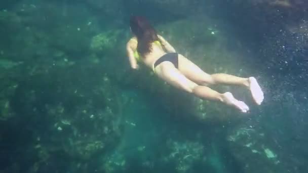 Fit feminino natação sob a água, excelente nadador, corpo atlético, férias — Vídeo de Stock
