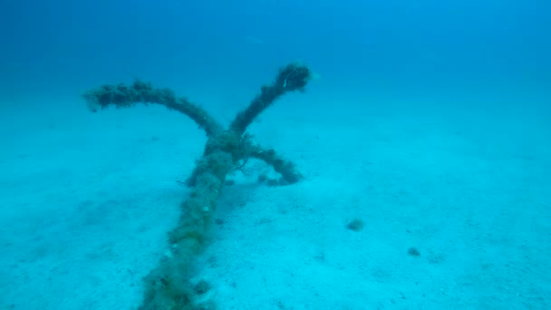 Velha âncora coberta de ervas daninhas deitada no fundo do mar, naufrágio permanece debaixo d 'água — Vídeo de Stock